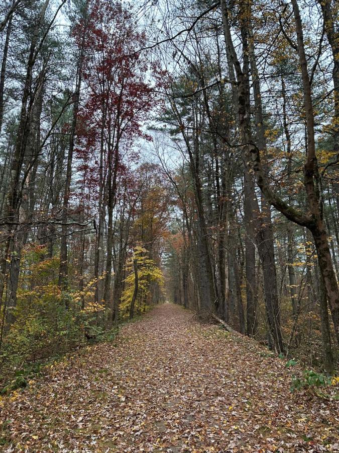 Escape To A Streamside Cabin In The Lower Catskills Wurtsboro Luaran gambar